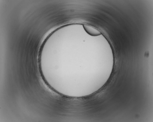 X0000112420947200909041409