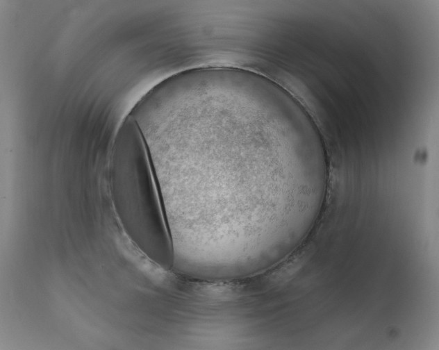 X0000112420948200909041409