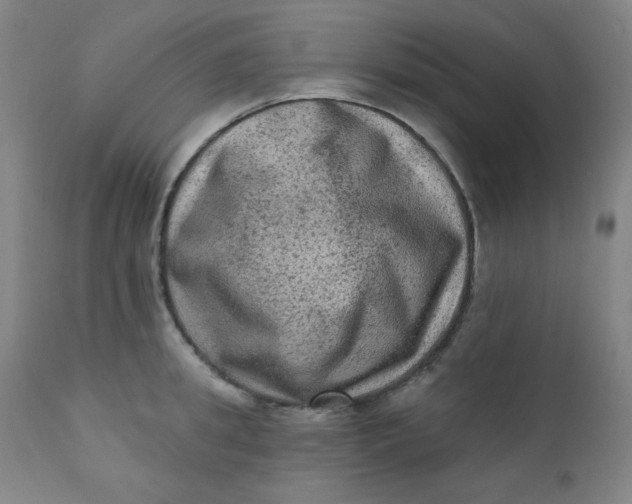 X0000112420949200909041409