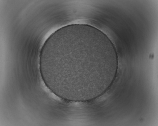 X0000112420950200909041409