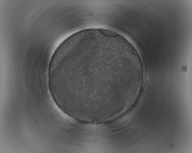 X0000112420951200909041409