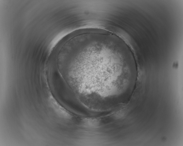 X0000112420952200909041409