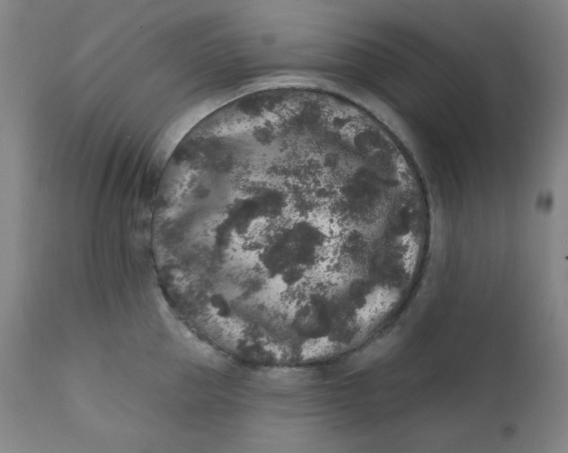 X0000112420953200909041409