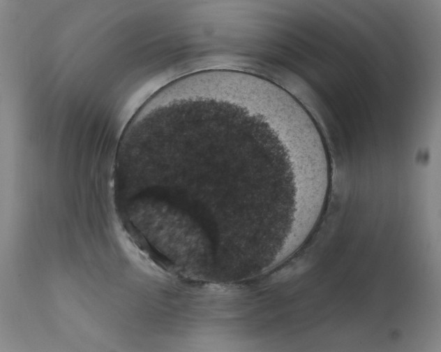 X0000112420954200909041409