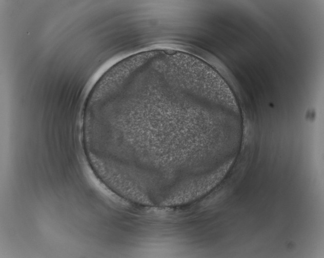 X0000112420955200909041409