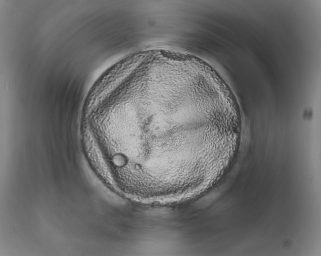 X0000112420957200909041409