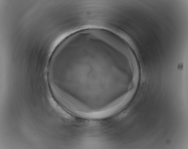 X0000112420958200909041409