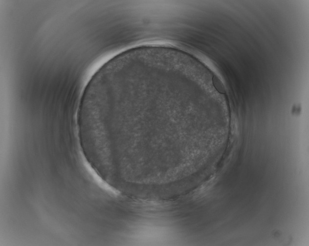 X0000112420959200909041409