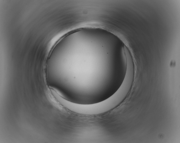 X0000112420960200909041409