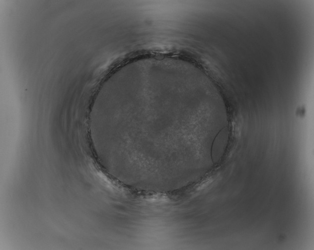 X0000112420961200909041408