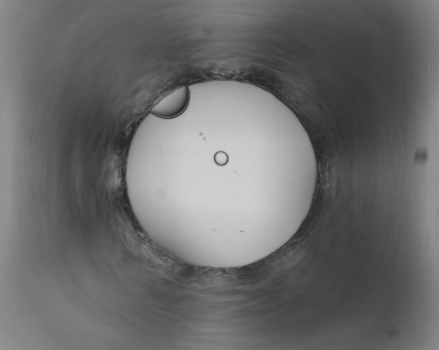 X0000112420962200909041408