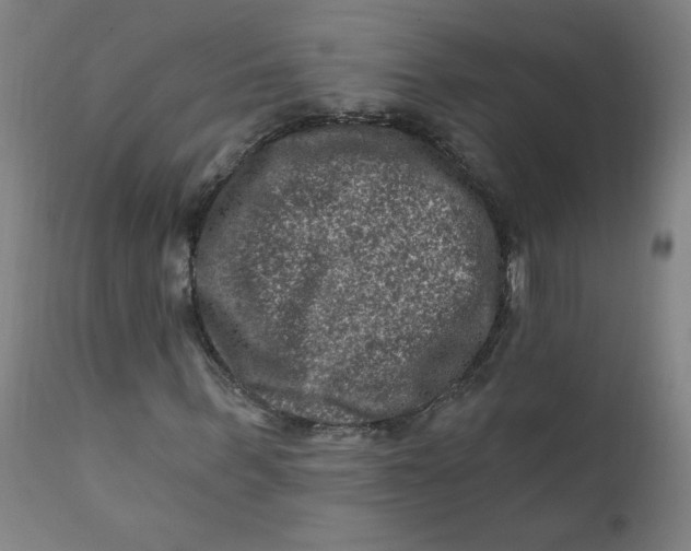 X0000112420963200909041408