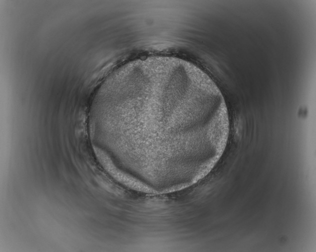 X0000112420964200909041408