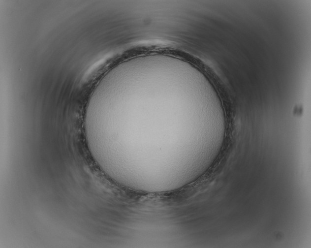 X0000112420967200909041408