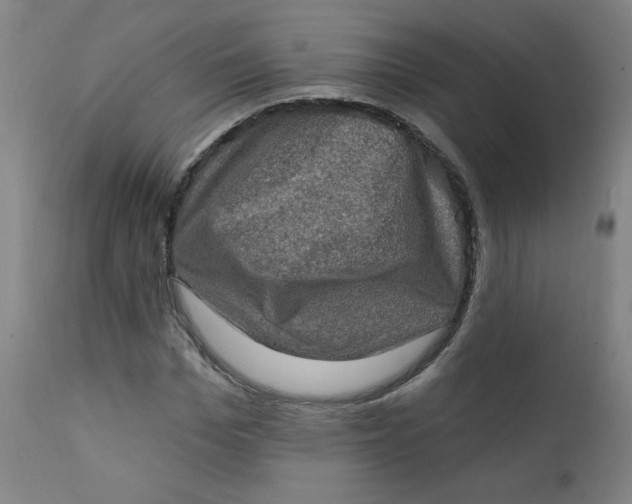 X0000112420969200909041408