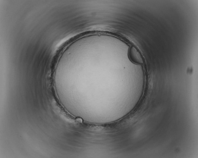 X0000112420971200909041408