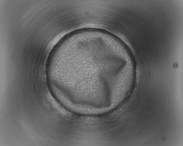 X0000112420972200909041408