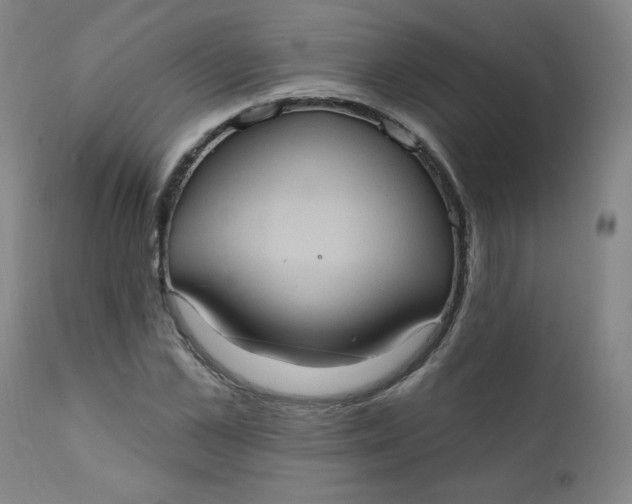 X0000112420973200909041408