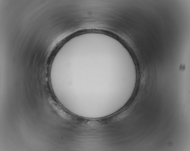 X0000112420974200909041408