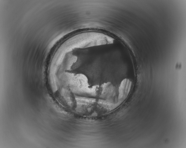 X0000112420975200909041408