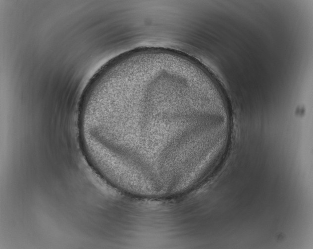 X0000112420976200909041408