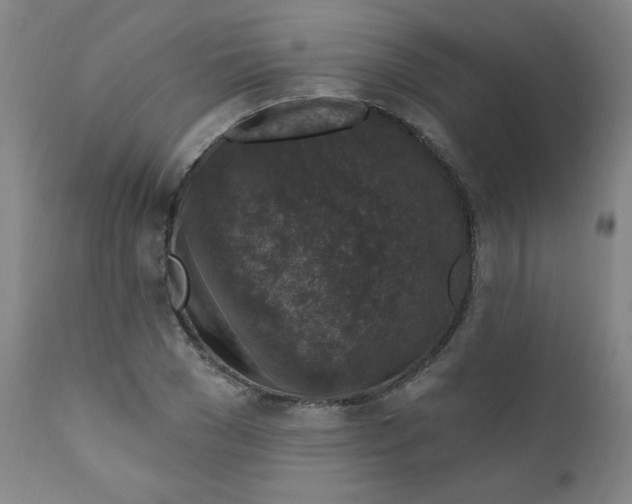 X0000112420977200909041408