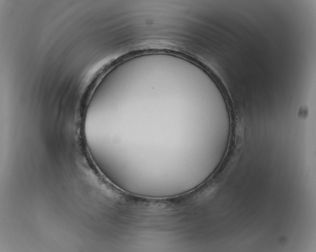 X0000112420979200909041408