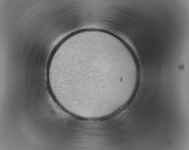 X0000112420980200909041408