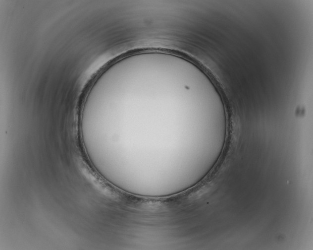 X0000112420982200909041408