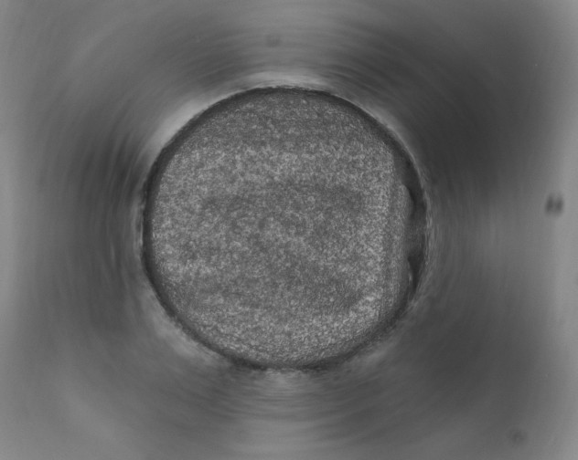 X0000112420983200909041408