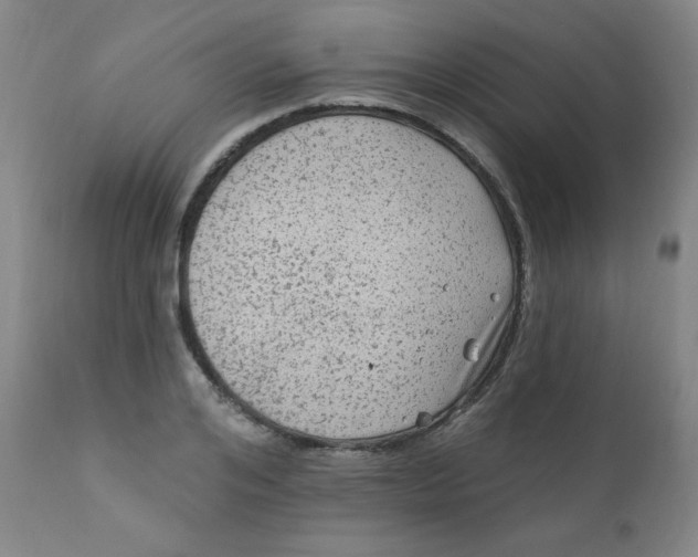 X0000112420984200909041408