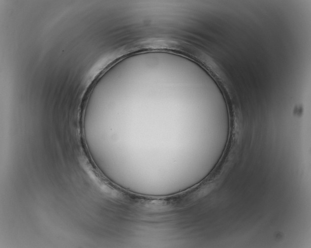 X0000112420986200909041408