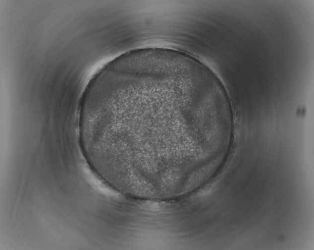 X0000112420987200909041408