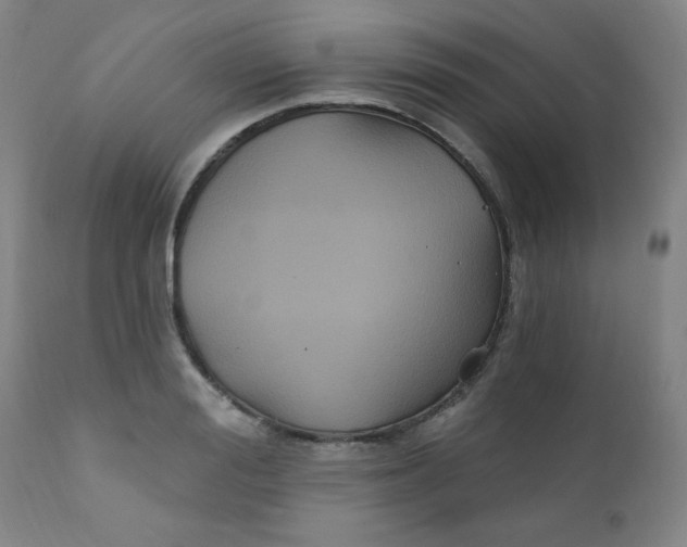 X0000112420988200909041408