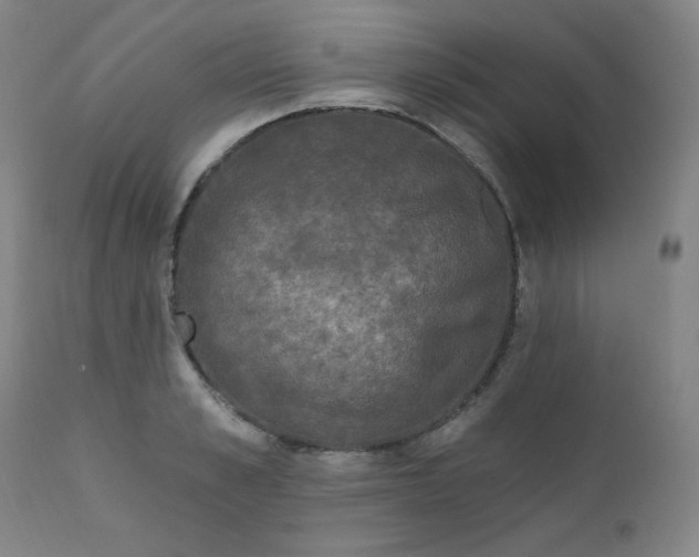 X0000112420989200909041408