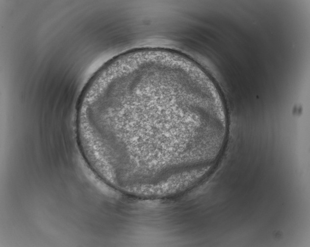 X0000112420990200909041408