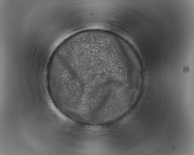 X0000112420991200909041408