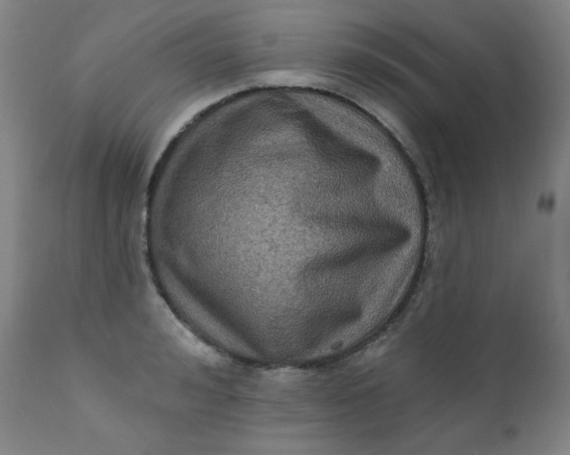 X0000112420992200909041408