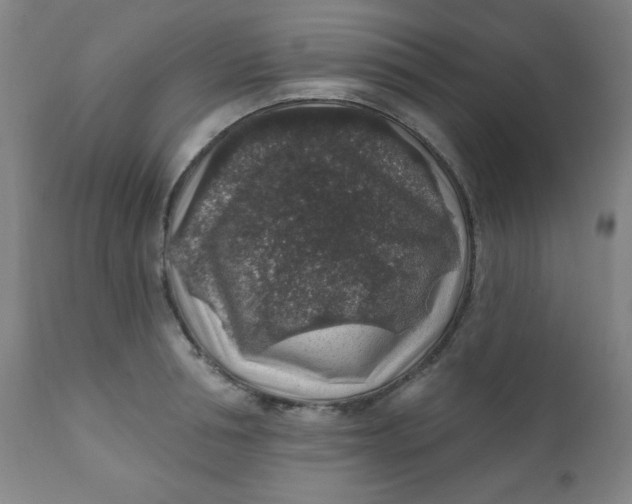 X0000112420994200909041408