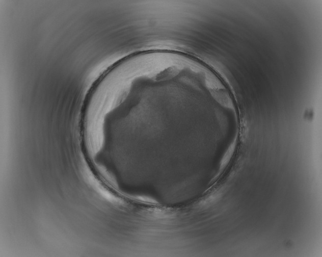 X0000112420995200909041408