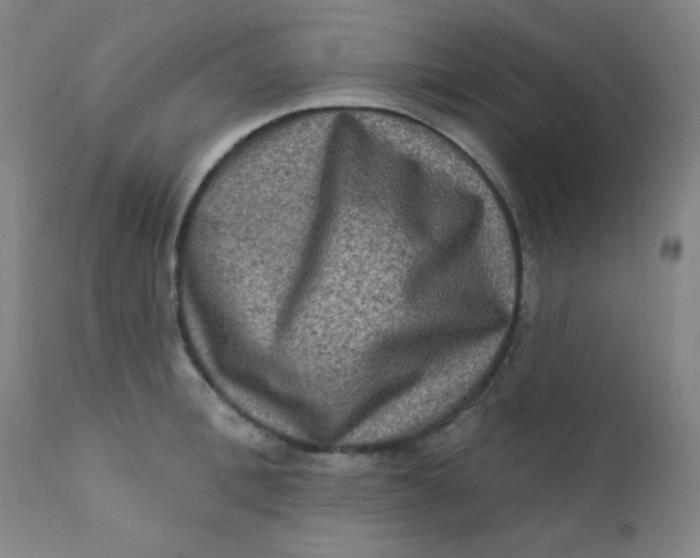 X0000112420996200909041408