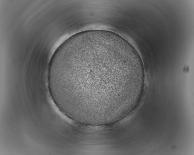 X0000112420997200909041408