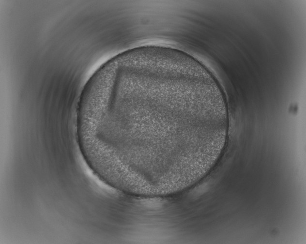 X0000112420999200909041408