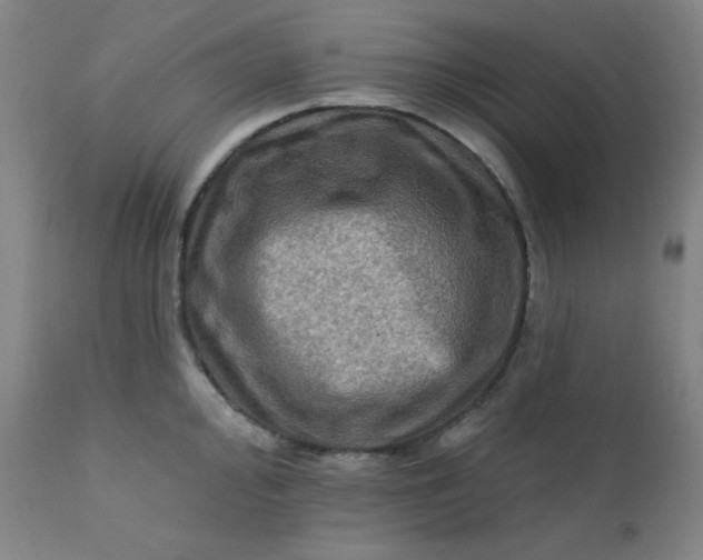 X0000112421000200909041408