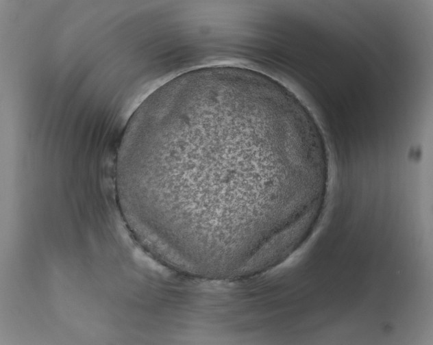 X0000112421001200909041408