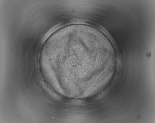 X0000112421002200909041408