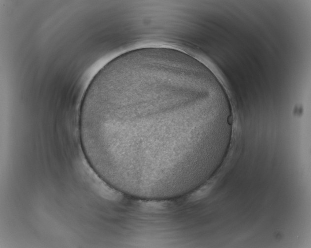 X0000112421004200909041408