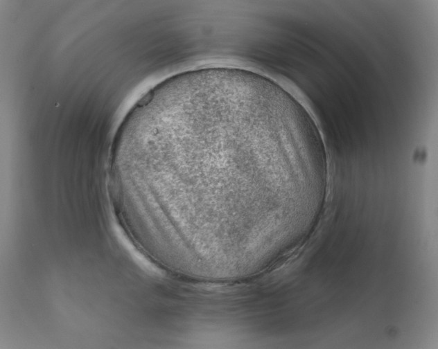 X0000112421005200909041408