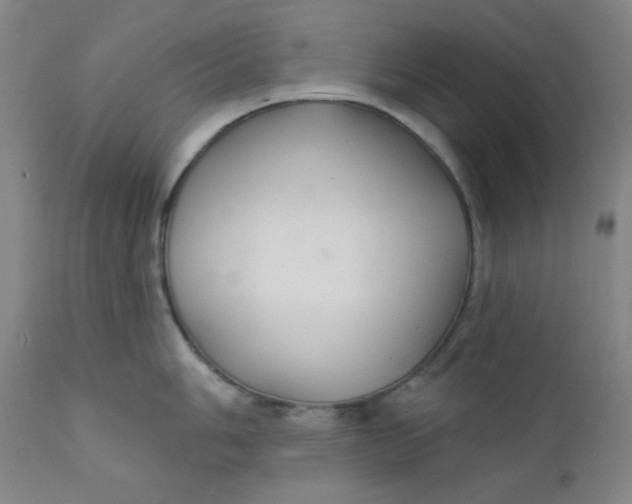 X0000112421006200909041408