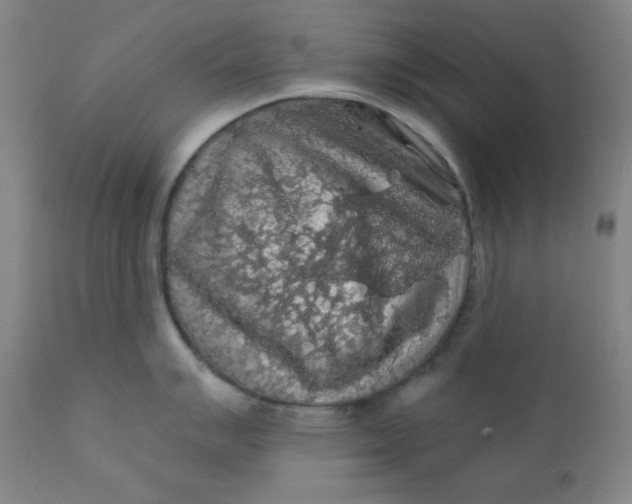 X0000112421007200909041408